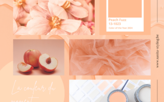 couleur de l'année - peach fuzz pantone