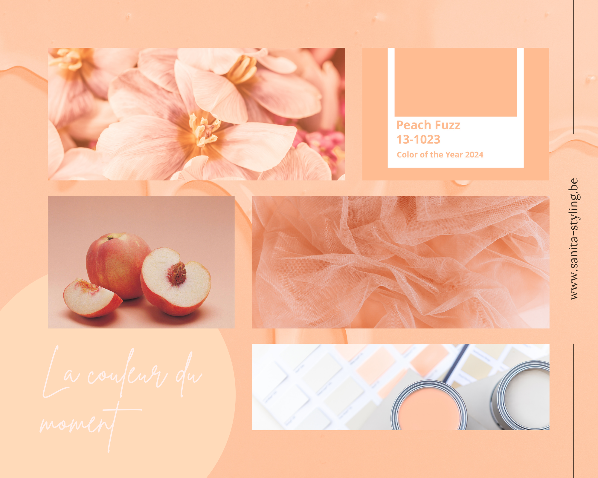 la couleur du moment peach fuzz de pantone