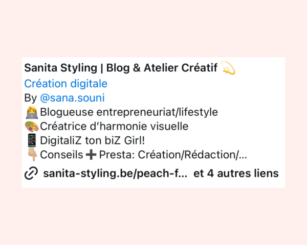optimisation de la bio instagram 